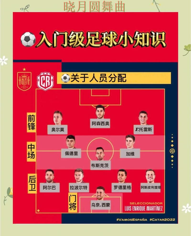 世界杯买球登录决赛阶段应该怎么看盘，从入门到进阶